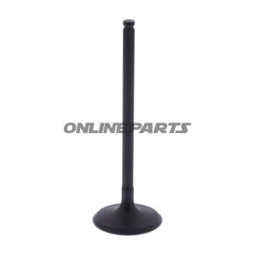 Intake Valve (Orig Spare Part)