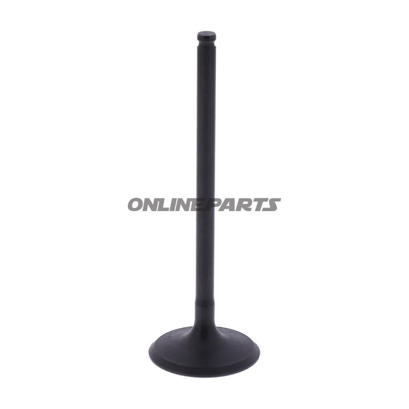 Intake Valve (Orig Spare Part)