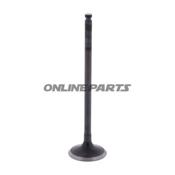 Outlet Valve (Orig Spare Part)
