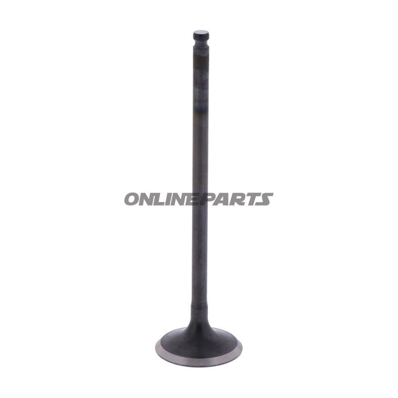 Outlet Valve (Orig Spare Part)