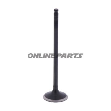 Outlet Valve (Orig Spare Part)