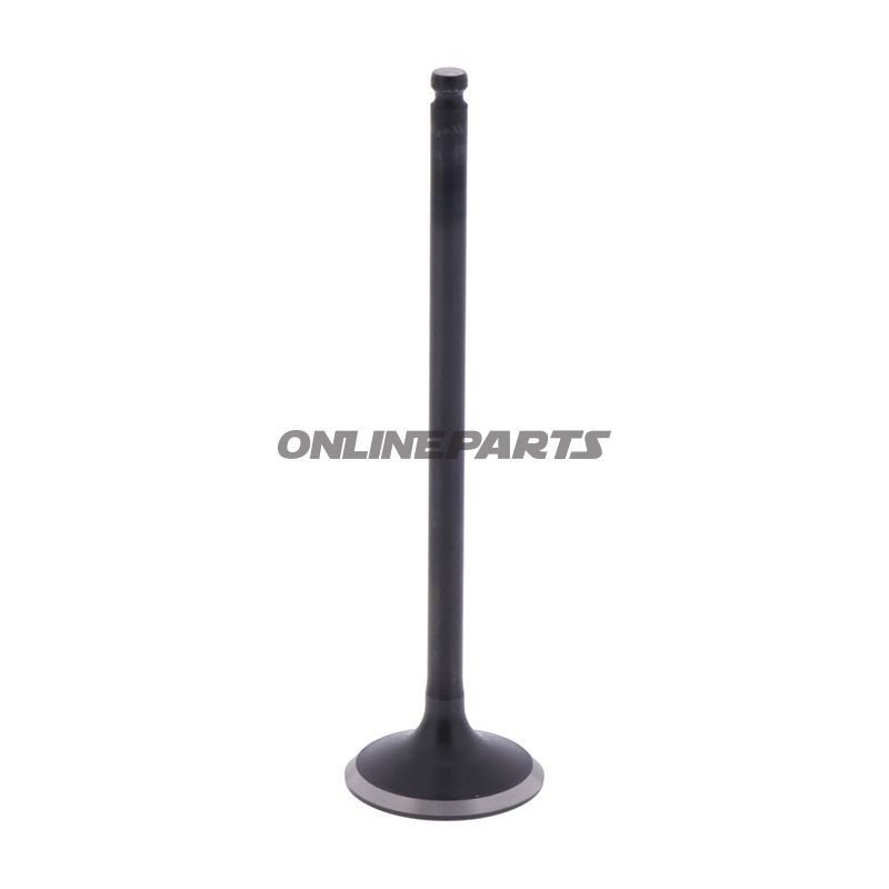 Outlet Valve (Orig Spare Part)