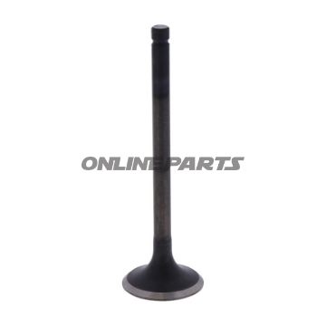 Outlet Valve (Orig Spare Part)