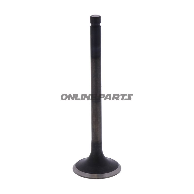 Outlet Valve (Orig Spare Part)