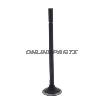 Outlet Valve (Orig Spare Part)