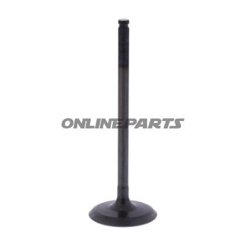Intake Valve (Orig Spare Part)