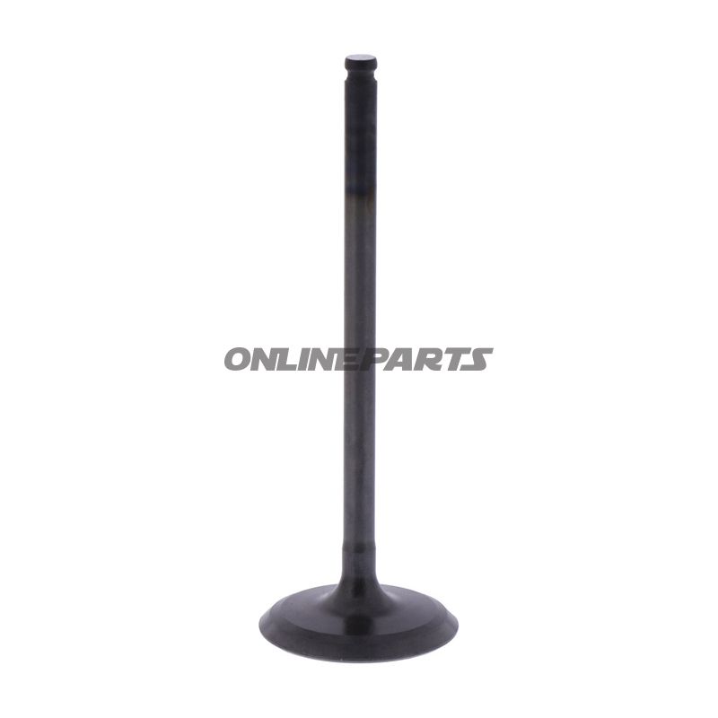 Intake Valve (Orig Spare Part)