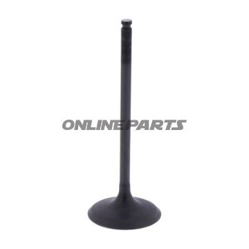 Intake Valve (Orig Spare Part)