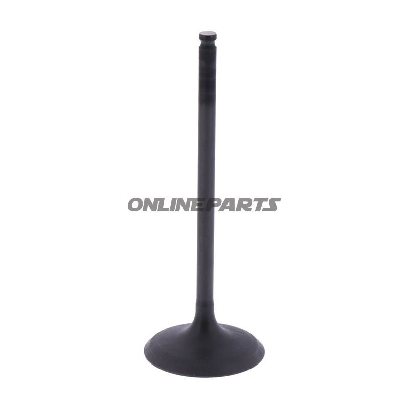 Intake Valve (Orig Spare Part)