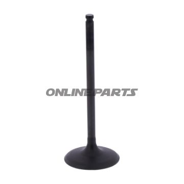 Intake Valve (Orig Spare Part)