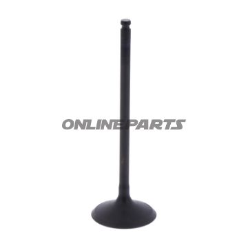 Intake Valve (Orig Spare Part)