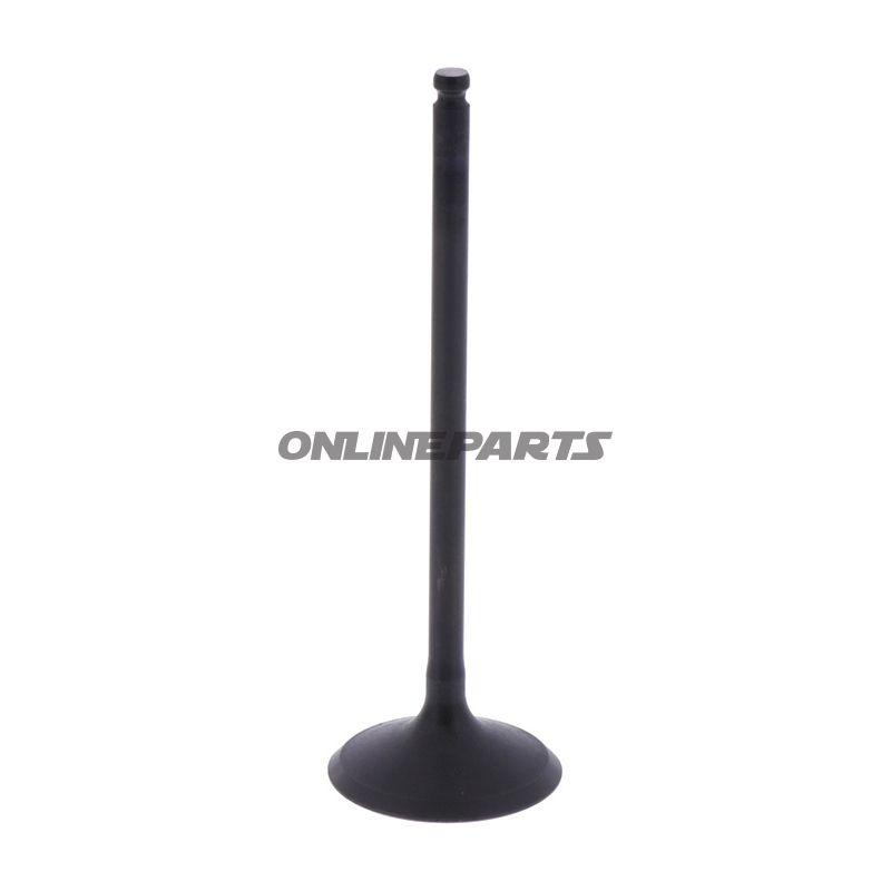 Intake Valve (Orig Spare Part)