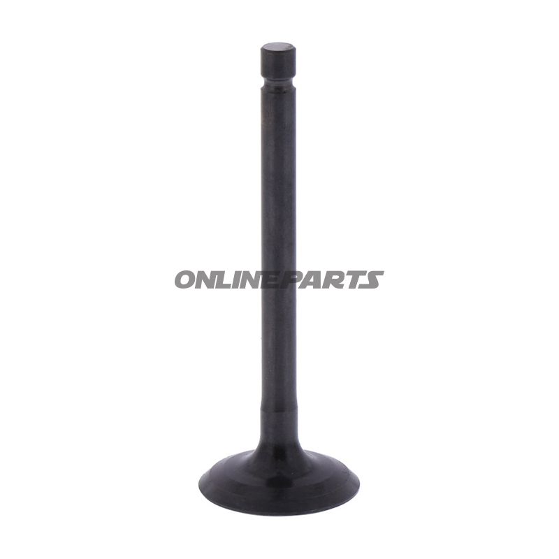 Intake Valve (Orig Spare Part)
