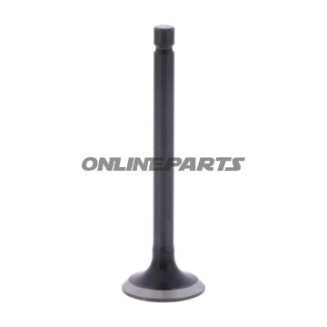 Outlet Valve (Orig Spare Part)