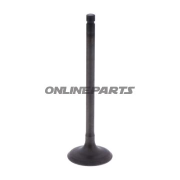 Intake Valve (Orig Spare Part)