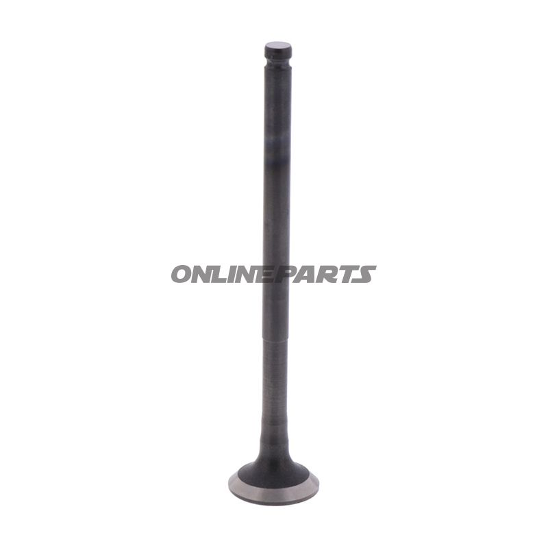 Outlet Valve (Orig Spare Part)