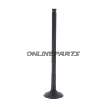Intake Valve (Orig Spare Part)