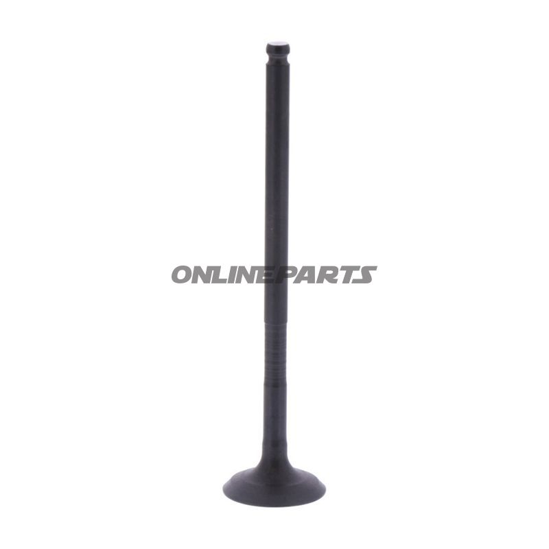 Intake Valve (Orig Spare Part)