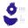 Clutch/ Ignition Cover Protector Bluekit