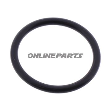 O-Ring 2X19mm Athenadichtung Steuerkettenspanner