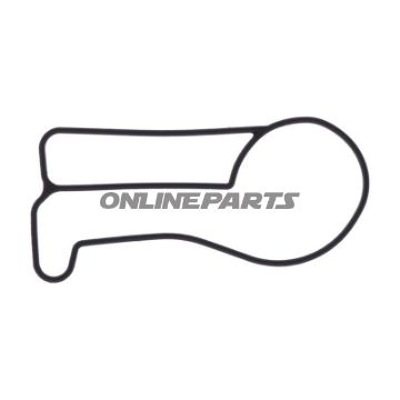 Water Pump Cover Gasket Athena