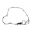 Clutch Cover Gasket Athena