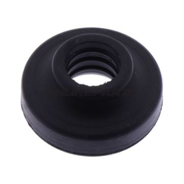 Rubber Bush Athena