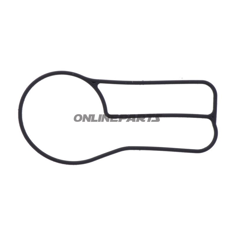 Water Pump Cover Gasket Athena