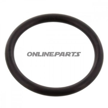 O-Ring 2.5X22mm Jmpalternative: 7343440