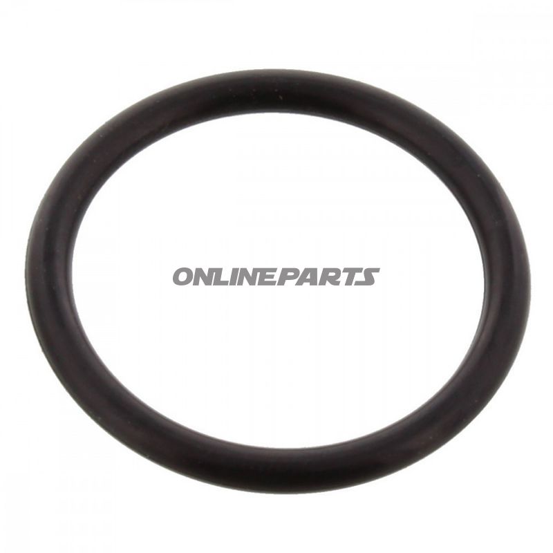 O-Ring 2.5X22mm Jmpalternative: 7343440