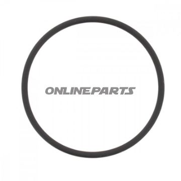 O-Ring 2X39mm Jmpalternative: 7341293