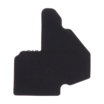 Air Filter (Orig Spare Part)