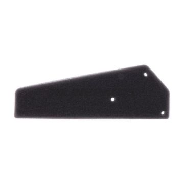 Air Filter (Orig Spare Part)