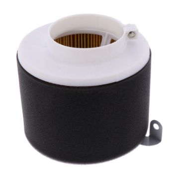 Air Filter (Orig Spare Part)