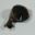 Spejl Gsx R750 (H),X(H)Right Hand