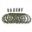 Clutch Kit Aramid Ebcplates & Springs