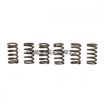 Clutch Spring Kit (6)Ebc