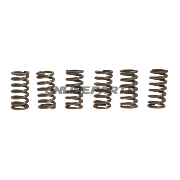 Clutch Spring Kit (6)Ebc