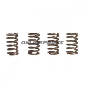 Clutch Spring Kit (4)Ebc