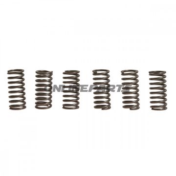Clutch Spring Kit (6)Ebc