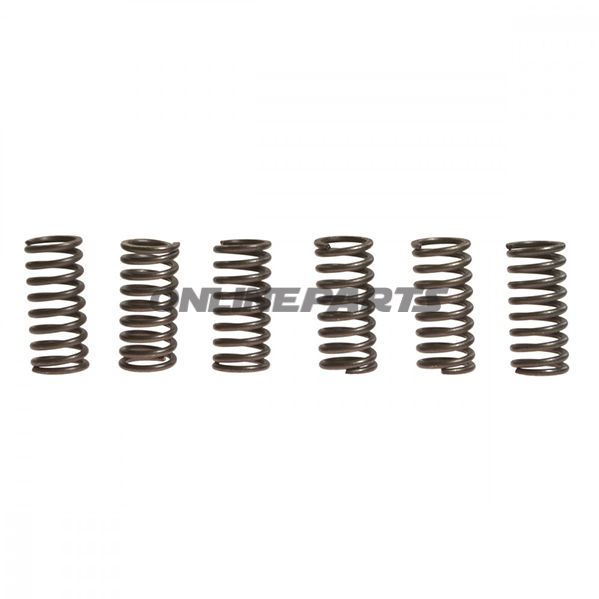 Clutch Spring Kit (6)Ebc