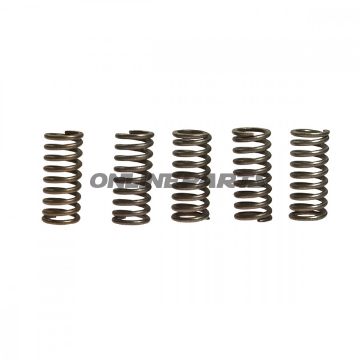 Clutch Spring Kit (5)Ebc