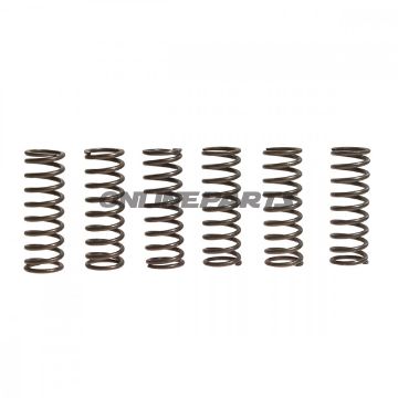 Clutch Spring Kit (6)Ebc