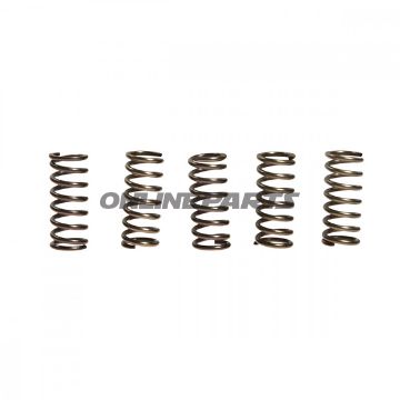 Clutch Spring Kit (5)Ebc