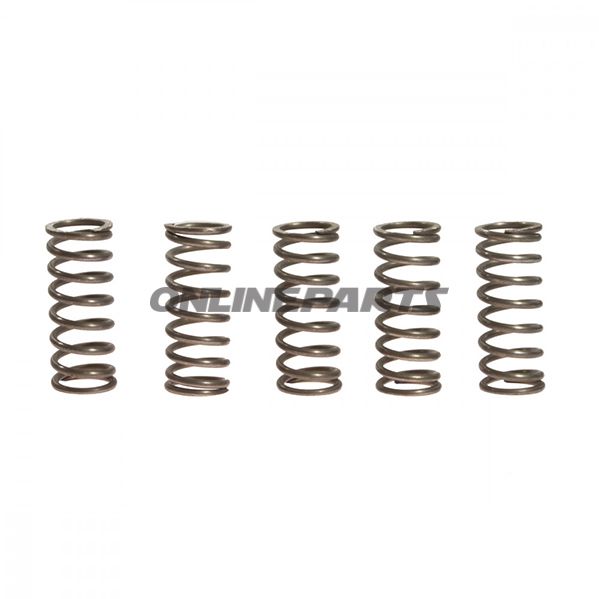 Clutch Spring Kit (5)Ebc