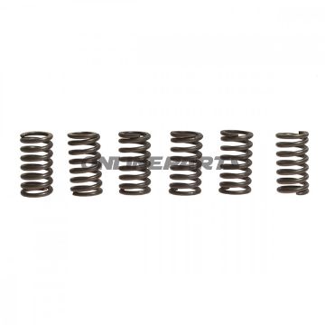 Clutch Spring Kit (6)Ebc