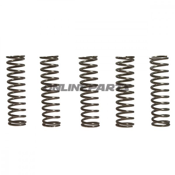 Clutch Spring Kit (5)Ebc