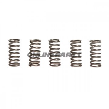 Clutch Spring Kit (5)Ebc
