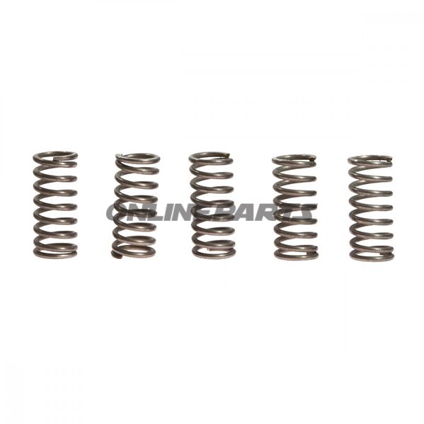 Clutch Spring Kit (5)Ebc