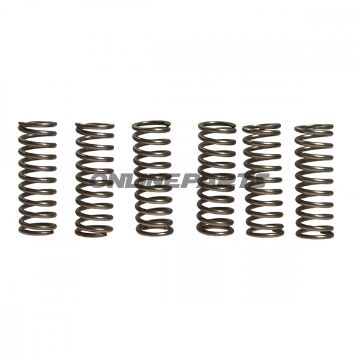 Clutch Spring Kit (6)Ebc
